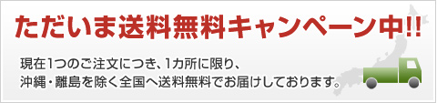 ただいま送料無料キャンペーン中!!