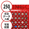【250枚セット】データ入稿で作る「写真・画像でビンゴカード」はがきサイズ 切抜穴有
