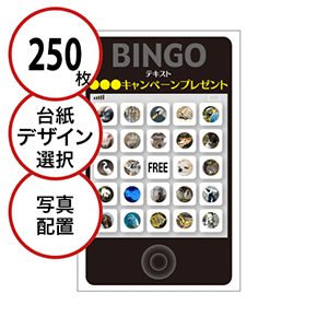 【250枚セット】展示会・イベント用「写真・画像でビンゴカード」はがきサイズ 5×5枠 切抜穴有