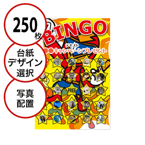【250枚セット】子供・ファミリー用「写真・画像でビンゴカード」はがきサイズ 5×5枠 切抜穴有