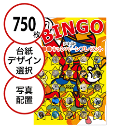 【750枚セット】子供・ファミリー用「写真・画像でビンゴカード」はがきサイズ 5×5枠 切抜穴有