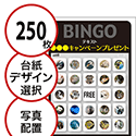 【250枚セット】展示会・イベント用「写真・画像でビンゴカード」はがきサイズ 5×5枠 切抜穴有